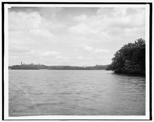 College from the lake, Wellesley College, Mass.