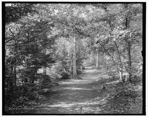 Path along Lake Waban, Wellesley College, Mass.