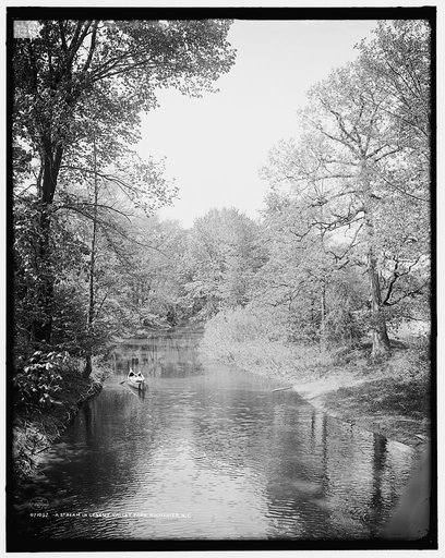 A Stream in Genesee Valley Park, Rochester, N.Y.