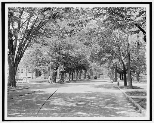 East Avenue, Rochester, N.Y.