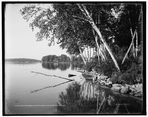 Along the shore, Upper Saranac Lake, Adirondack Mts., N.Y.