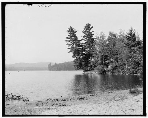Tamarack Pt., the Antlers, Raquette Lake, Adirondack Mts., N.Y.