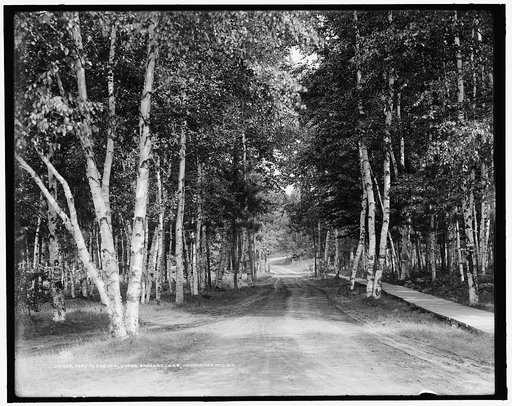 Road to the Inn, Upper Saranac Lake, Adirondack Mts., N.Y.