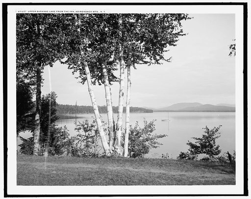 Upper Saranac Lake from the Inn, Adirondack Mts., N.Y.