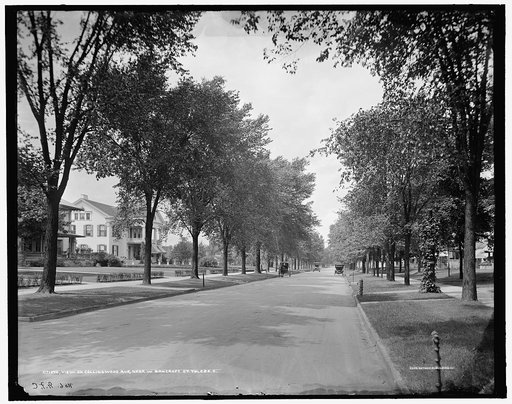 View on Collingwood Ave. [Avenue], near W. Bancroft St., [Street] Toledo, Ohio