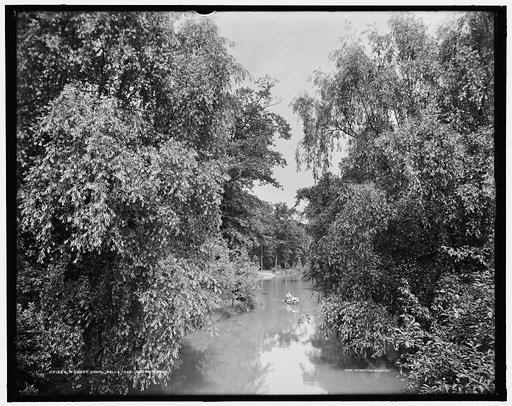 Forest canal, Belle Isle [Park], Detroit, Mich.