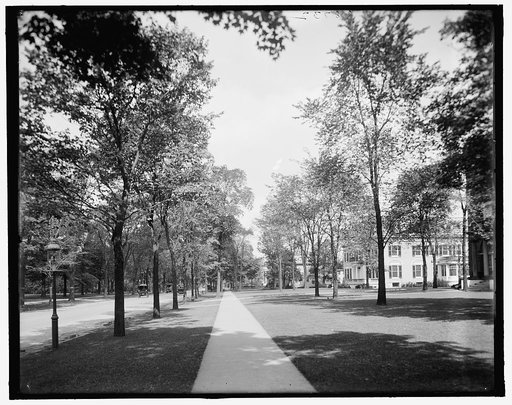 Delaware Ave., Buffalo, N.Y.