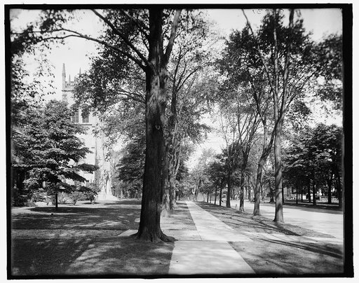 Delaware Ave., Buffalo, N.Y.