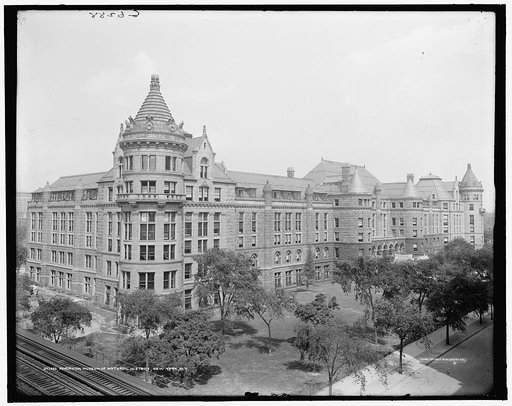 American Museum of Natural History, New York, N.Y.