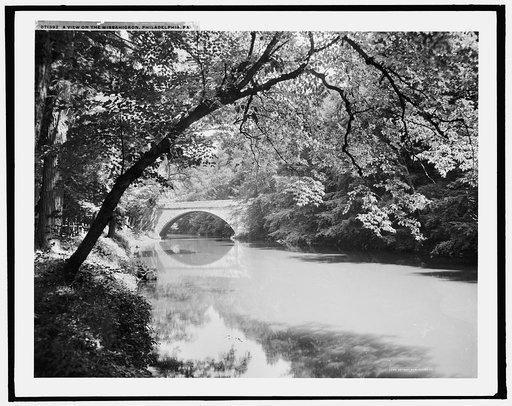 A View on the Wissahickon, Philadelphia, Pa.