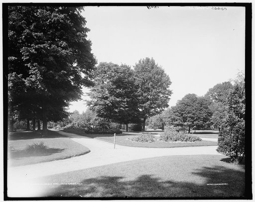 Drive in Lincoln Park, Grand Rapids, Mich.