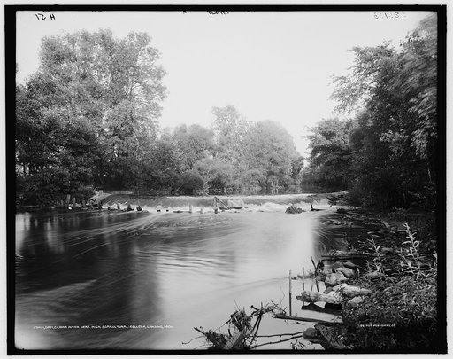 Dam, [Red] Cedar River near Mich. Agricultural College [i.e. Michigan State University], [East] Lansing, Mich.