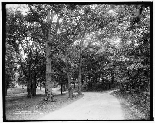 Road to the golf links, Delaware Water Gap, Pa.