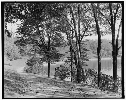 Sunshine and shadow, along the lake, Buffalo, N.Y.