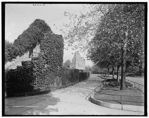 Bear pit, the zoo, Buffalo, N.Y.