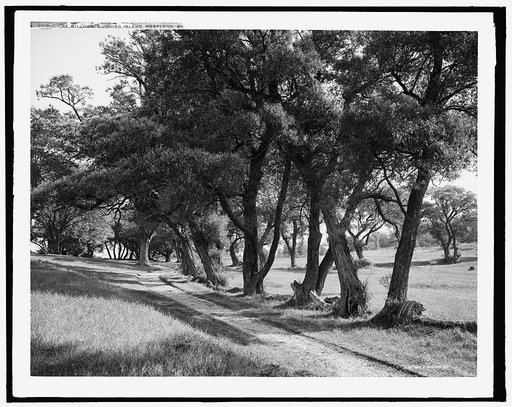 The Willows, Cushing Island, Portland, Me.