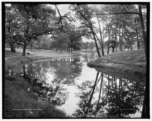 Pond in Deering Park, Portland, Me.