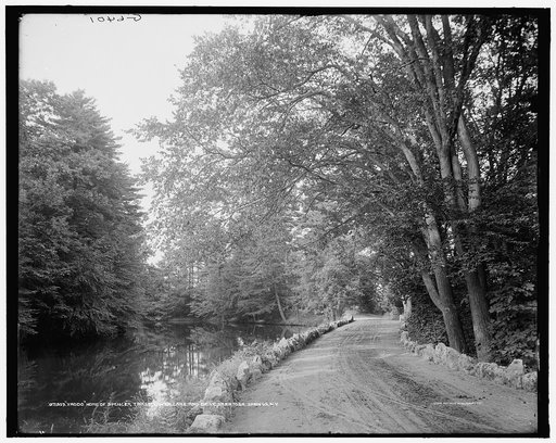 Yaddo, home of Spencer Trask, lower lake and drive, Saratoga Springs, N.Y.