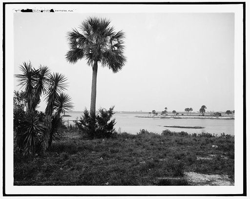 Halifax River, Daytona, Fla.