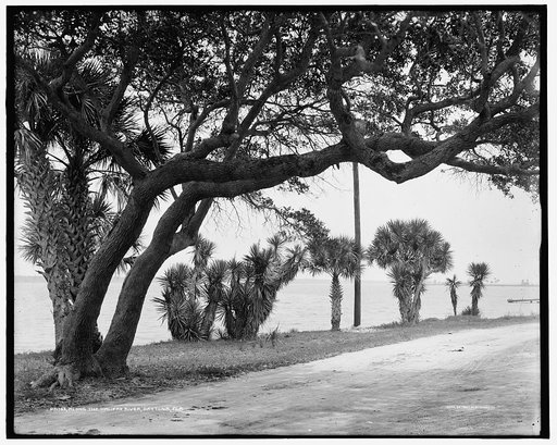 Along the Halifax River, Daytona, Fla.