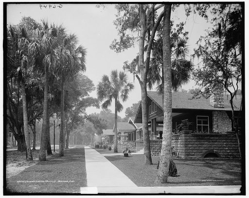 Bungalows on South St. [Street], Daytona, Fla.
