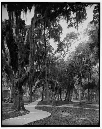 Bay Street, Daytona, Fla.