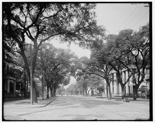 Government St. [Street], looking west, Mobile, Ala.