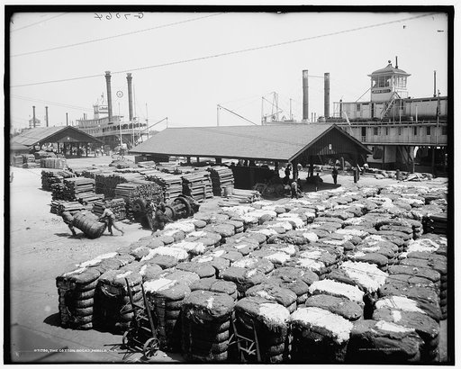 The Cotton docks, Mobile, Ala.