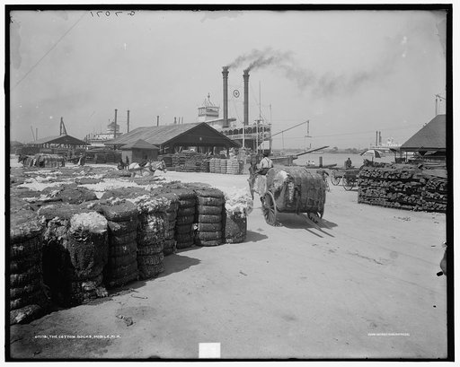 The Cotton docks, Mobile, Ala.