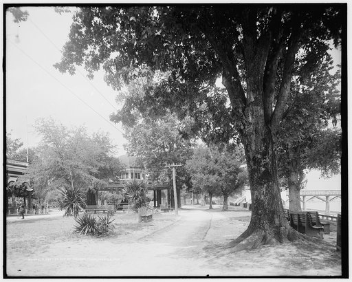 A Pretty bit of Monroe Park, Mobile, Ala.