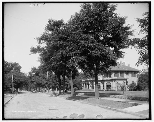 Jackson St. [Street], Pensacola, Fla.