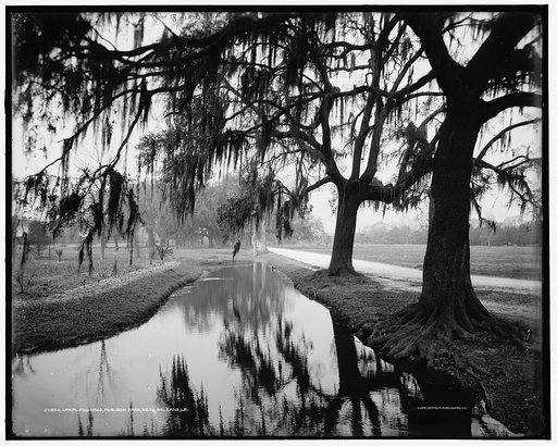 Canal and oaks, Audubon Park, New Orleans, La.