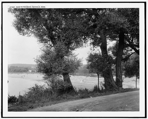 Road to the beach, Magnolia, Mass.