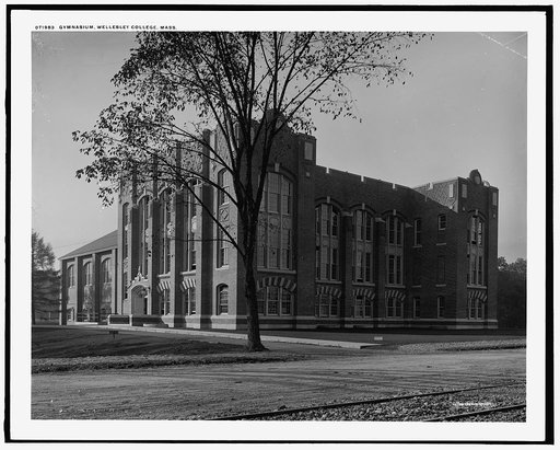 Gymnasium, Wellesley College, Mass.