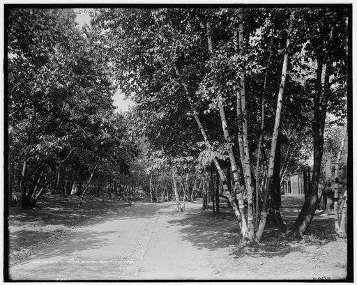 The Path to the zoo, Mountain Park, Mt. Tom, Mass.