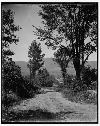 The Road to [Mount] Greylock, Adams, Mass.