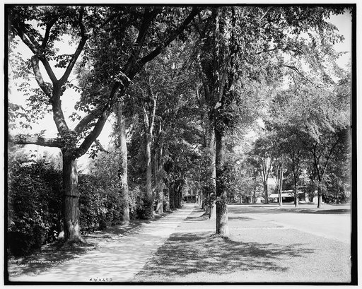 Kemble Ave. [i.e. Street], showing Lenox Club, Lenox, Mass.