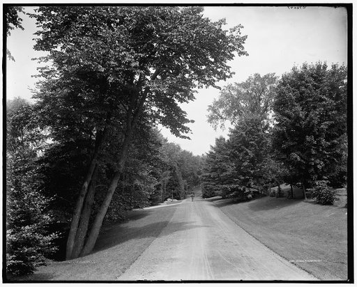 Yocum Ave. [i.e. Yokun], Lenox, Mass.