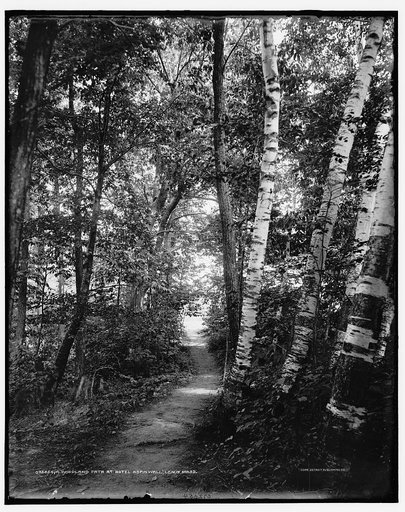 Woodland path at Hotel Aspinwall, Lenox, Mass.