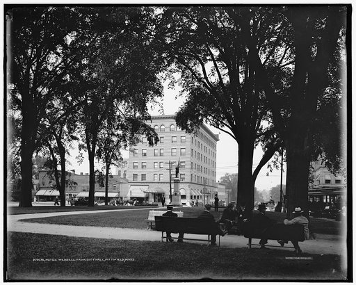 Hotel Wendell from City Hall [Park], Pittsfield, Mass.