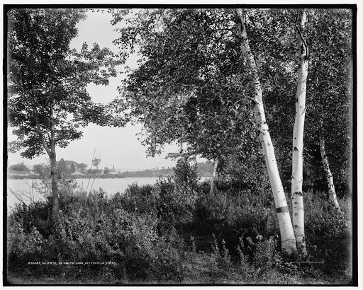Glimpse of Onota Lake, Pittsfield, Mass.