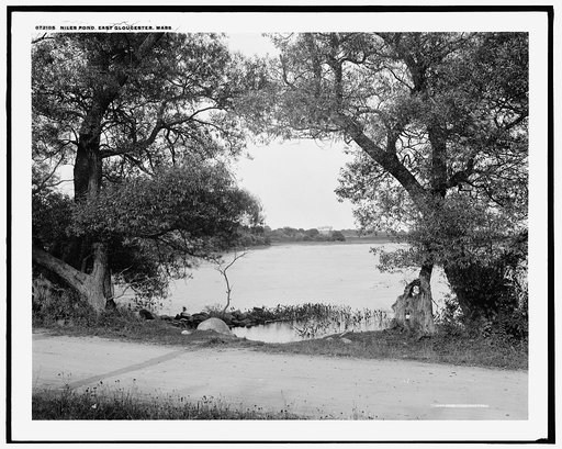 Niles Pond, East Gloucester, Mass.