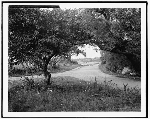 Road to Eastern Point, East Gloucester, Mass.