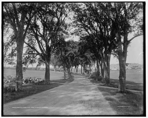 Avenue, Stage Fort Park, Gloucester, Mass.
