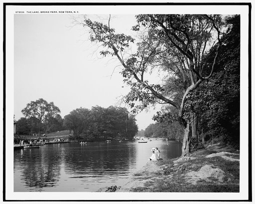 The Lake, Bronx Park, New York, N.Y.