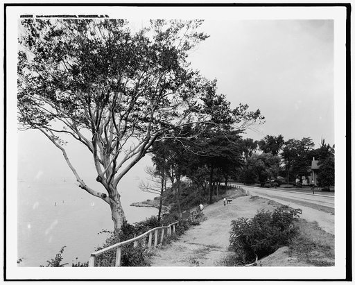 The Bay shore road, Brooklyn, N.Y.