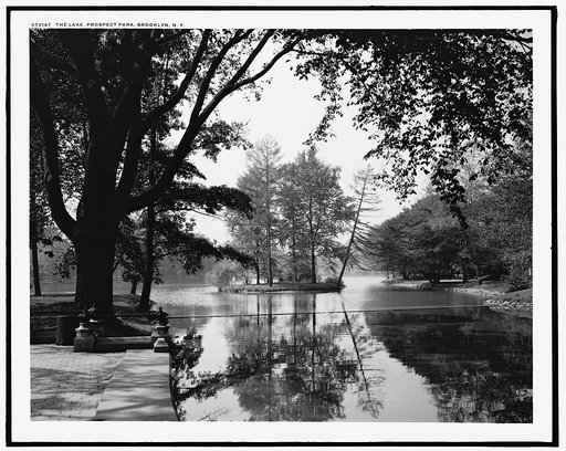 The Lake, Prospect Park, Brooklyn, N.Y.