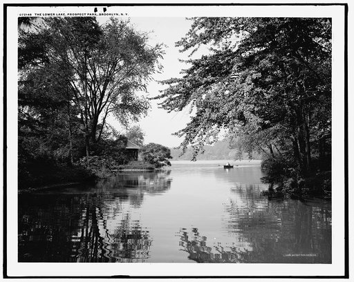 The Lower lake, Prospect Park, Brooklyn, N.Y.