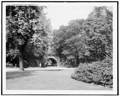 A View in Prospect Park, Brooklyn, N.Y.