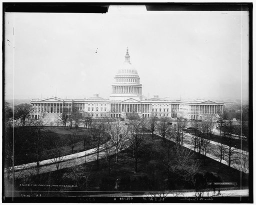 The [United States] Capitol, Washington, D.C.